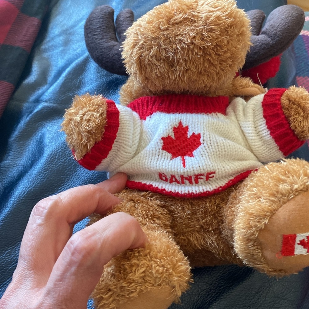 Canadian Moose Plush with Book - Picture 4 of 6